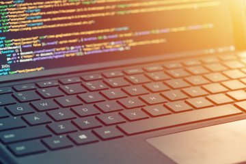 Web Tasarımı